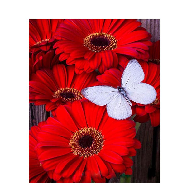 Schmetterling auf Blumen