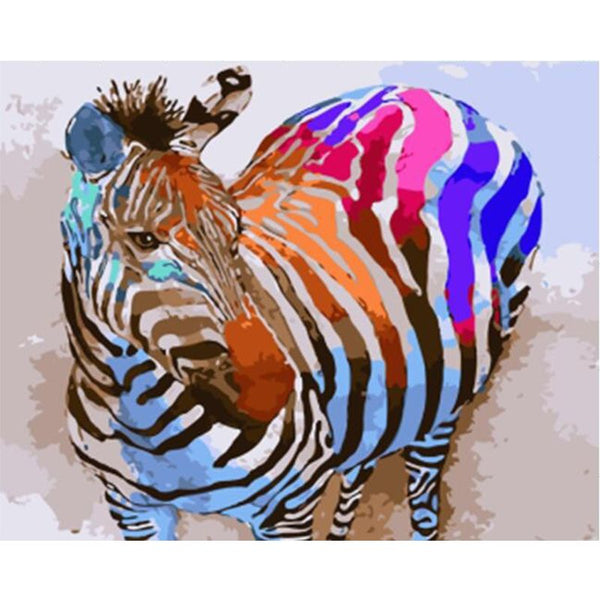 Zebra