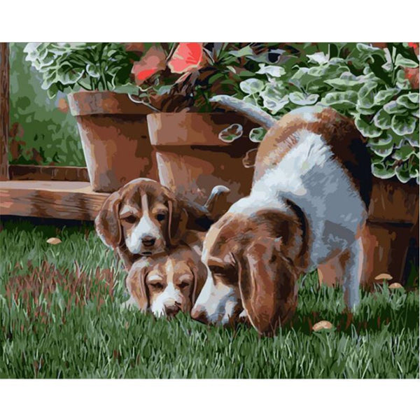 Beagles