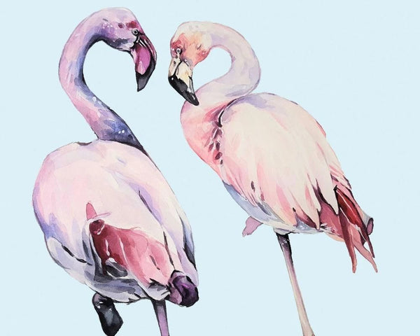 Flamingos