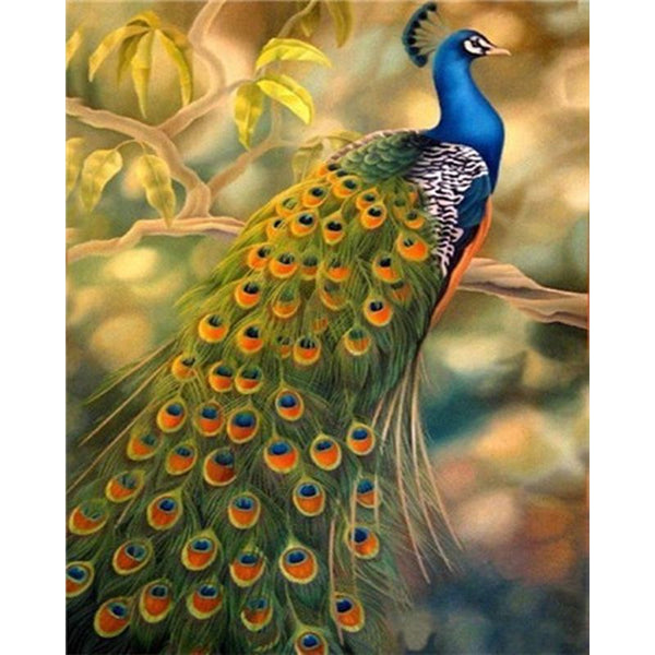 Pfau