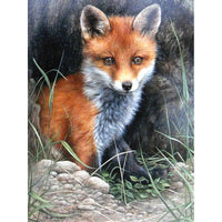 Fuchs