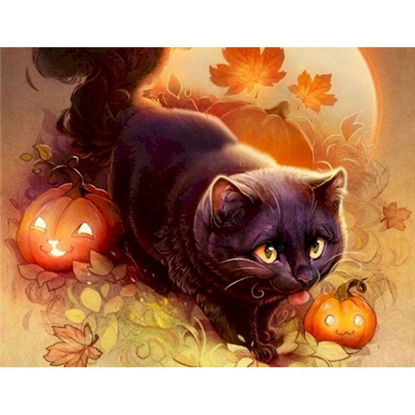 Katze